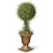 3ft. Mini Tea Leaf 1-Ball Topiary in Urn